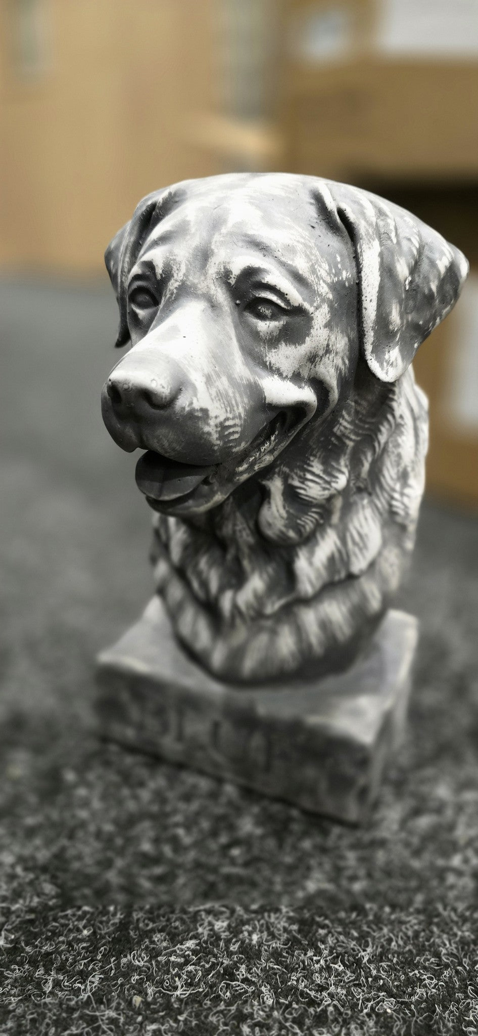 Custom Dog Bust From Your Photo