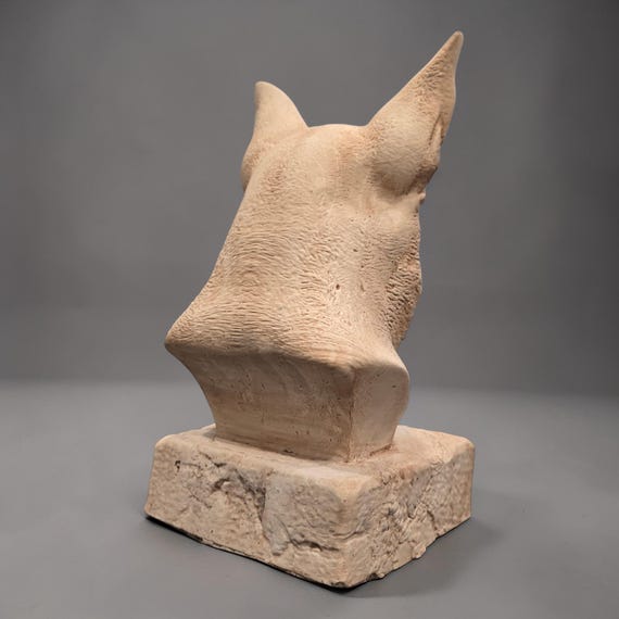 Corgi pet bust close-up